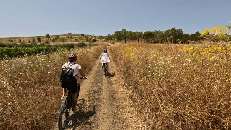 Valley Of The Temples By E-Bike With Picnic Included - What the $55.80 price gets you