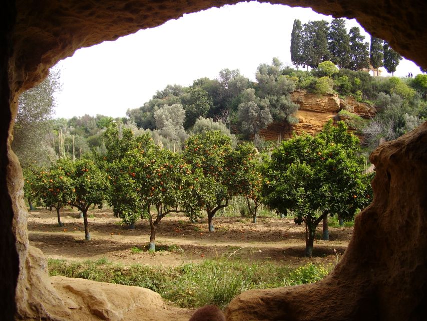 Valley of the Temples: Kolymbethra Garden Entry Ticket - Why Kolymbethra Garden feels different from the temples