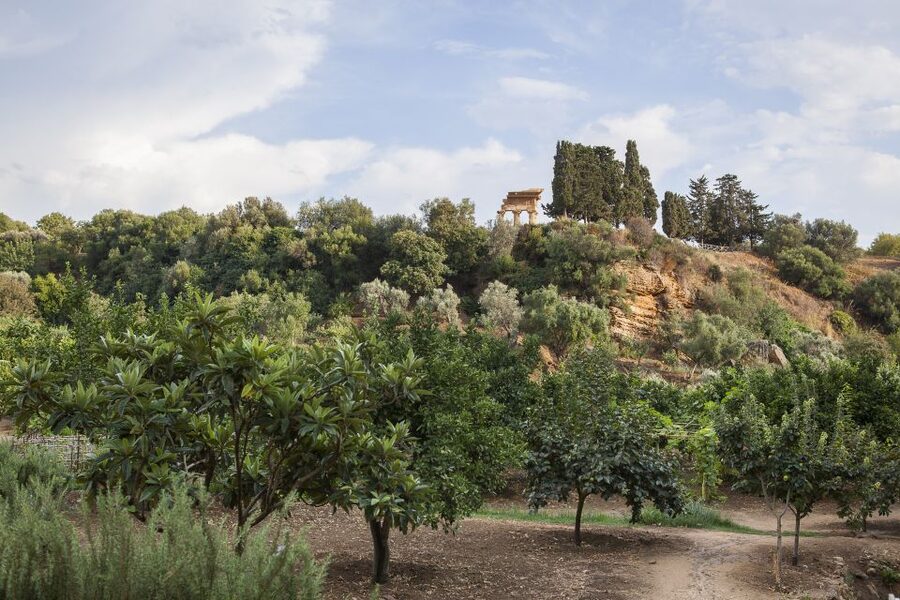 Valley of the Temples: Kolymbethra Garden Entry Ticket - A good place for lunch and a slower hour