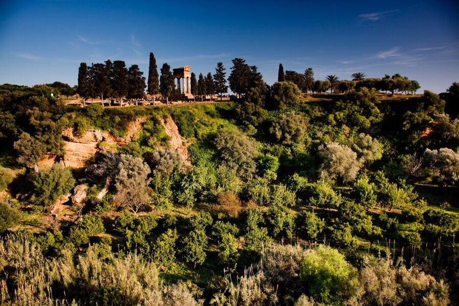 Valley of the Temples: Kolymbethra Garden Entry Ticket - How the experience compares with the main archaeological park