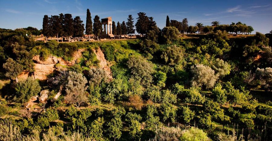 Valley of the Temples: Kolymbethra Garden Entry Ticket - Who should book Kolymbethra Garden?