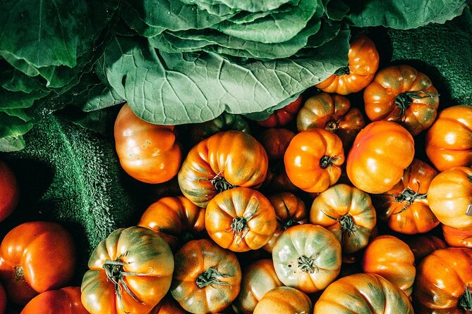 Vegan Cooking Class in Catania with Lunch and Dinner - Location near Galatea and Italia subway stops
