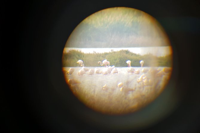 Vendicari - Sicily's best coast nature reserve ( Birdwatching & Archeology ) - Why Vendicari makes a fine break from Syracuse