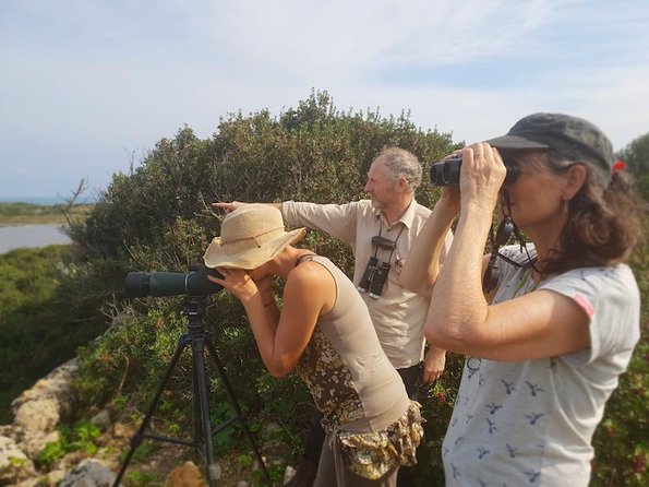 Vendicari - Sicily's best coast nature reserve ( Birdwatching & Archeology ) - A Spanish defense tower beside the sea