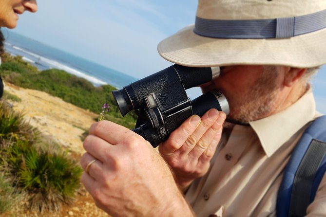 Vendicari - Sicily's best coast nature reserve ( Birdwatching & Archeology ) - Ancient fish farming and a Roman villa with mosaics