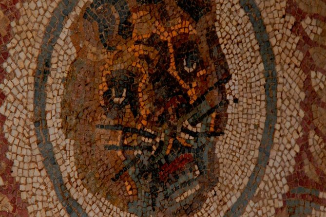Villa Romana del Casale Mosaics Unesco Private Tour - Who should book this Villa Romana tour?