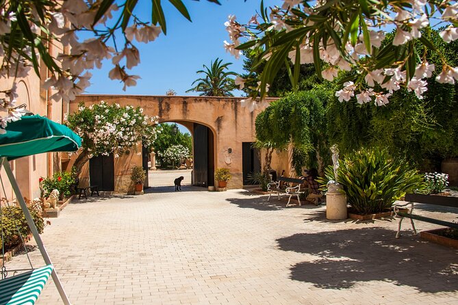 Visit and Private Tasting of EVO Oil and Organic Wine - Why the private format matters