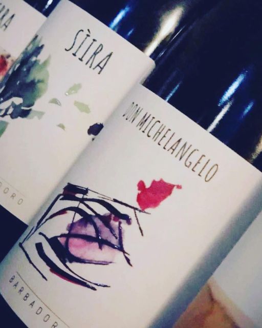 Walk among the rows of vineyards and wine tasting - Inside the cellar: from grape to bottle