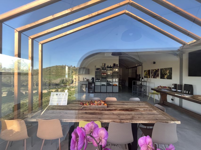 Walk among the rows of vineyards and wine tasting - Sicilian food is a major part of the value