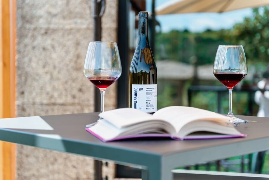 Walk among the rows of vineyards and wine tasting - Who will enjoy it most?
