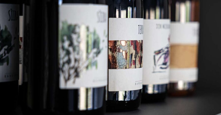 Walk among the rows of vineyards and wine tasting - Walking the vineyard and meeting the Sicilian grapes