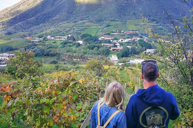 Walk through vineyards, breathtaking views and flavors of Salina - Vineyards, views, and the agriculture of Salina