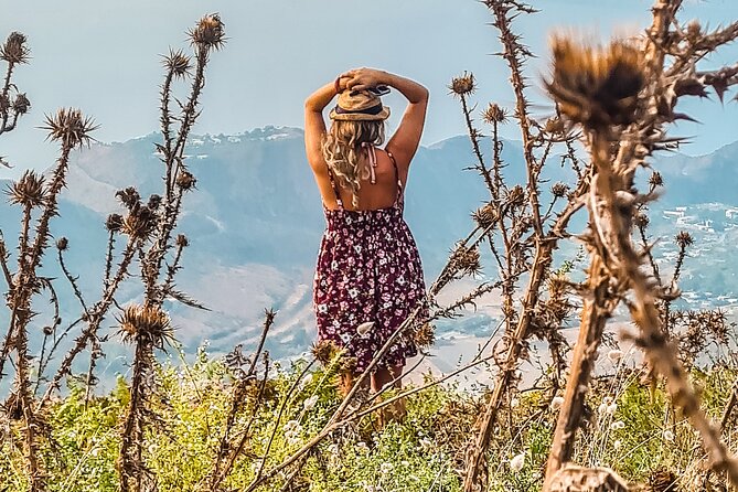 Wild Walk – Discovering the hidden paths - What the $468.55 group price really buys