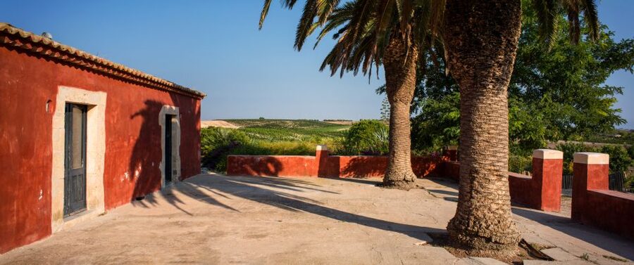 Wine Tasting and Typical Tastings in the Val di Noto - A short introduction to Val di Noto wine
