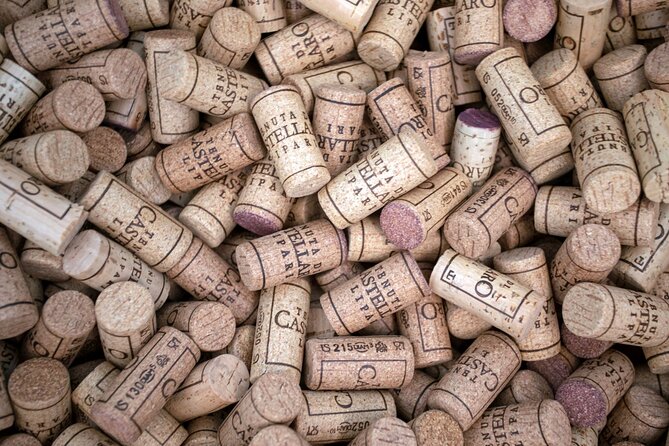 Wine tasting THE CLASSICS - Who should book this tasting?