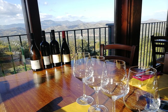 Wine Tasting Tour from Taormina - Why Etna wine is the focus