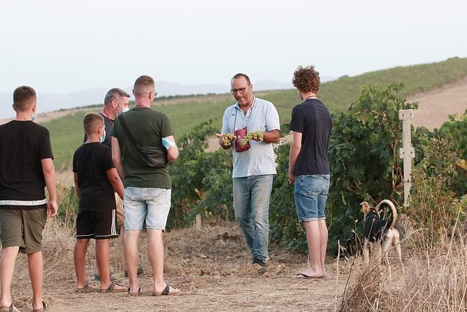Wine Tour in the historic Baglio Florio Adamo with Lunch - The strongest reasons to book