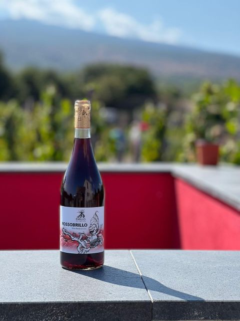 Wine tour with wine tasting - Key points to know before you book