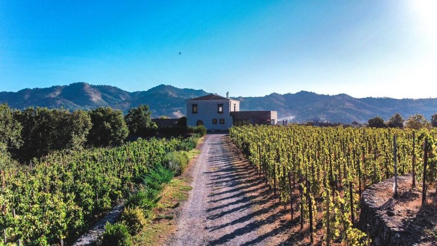 Wine tour with wine tasting - Why Etna gives this tasting its character