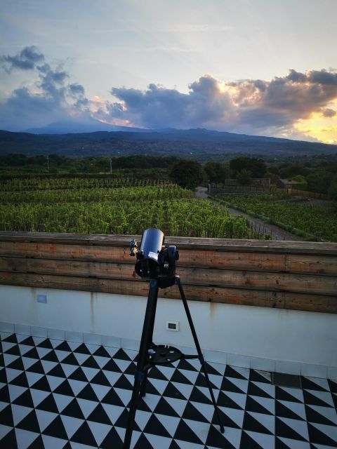 Wine tour with wine tasting - Choosing the best time and preparing for the visit