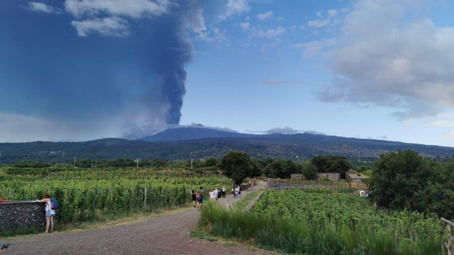 Wine tour with wine tasting - Who will enjoy this Etna wine tour