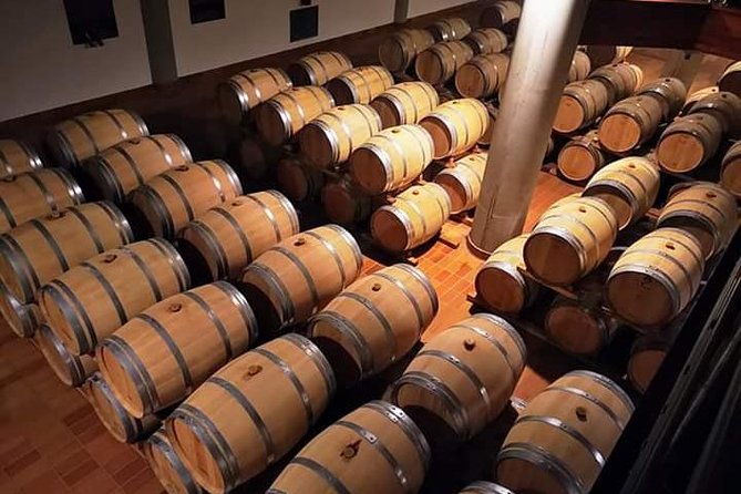 Winery tasting in Marsala and Mothia lagoon tour - Cantine Pellegrino and the taste of Marsala