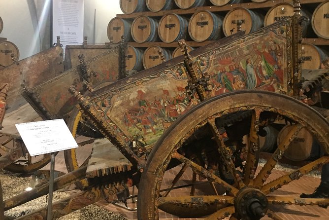 Winery tasting in Marsala and Mothia lagoon tour - What the $168.96 price covers