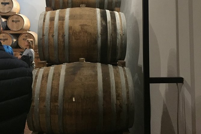 Winery tasting in Marsala and Mothia lagoon tour - Practical details before you go