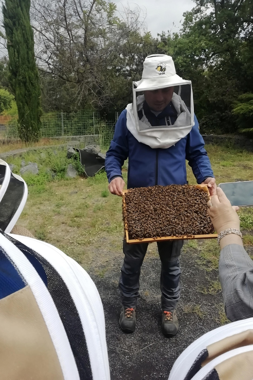Zafferana Etnea:Honey extraction workshop and honey tasting - Why this short Zafferana Etnea visit is worth your time