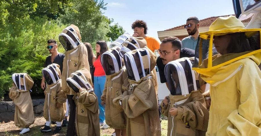 Zafferana Etnea:Honey extraction workshop and honey tasting - Tasting Sicilian honey with cheese and pastries