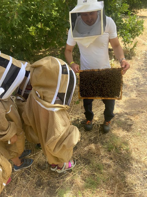 Zafferana Etnea:Honey extraction workshop and honey tasting - Putting on protective clothing for the hive visit