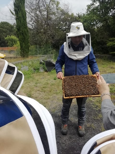 Zafferana Etnea:Honey extraction workshop and honey tasting - Who should book this experience